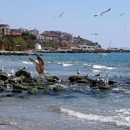 Etara - 1 Rey&mar Saint Apartment Sveti Vlas