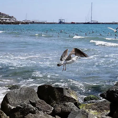 Etara - 1 Rey&mar Saint Apartment