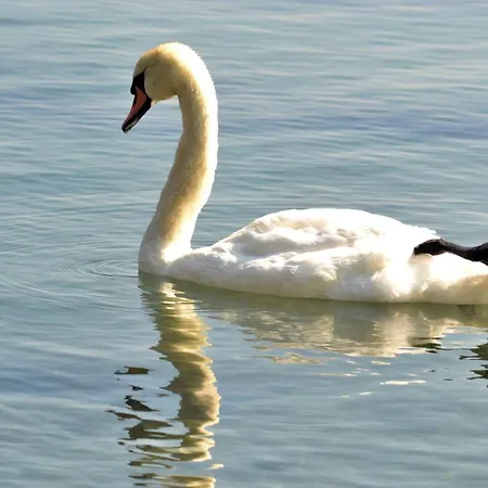 Etara - 1 Rey&mar Saint Apartment *