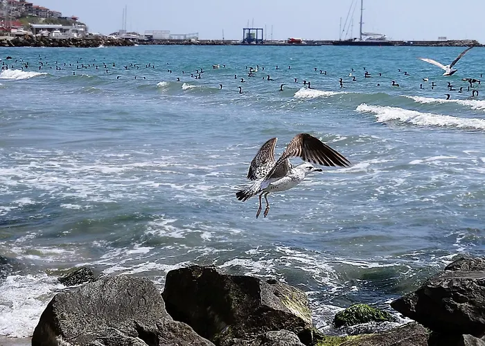 Etara - 1 Rey&mar Saint Apartment