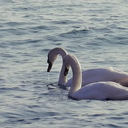 アパート Etara - 1 Rey&mar Saint *