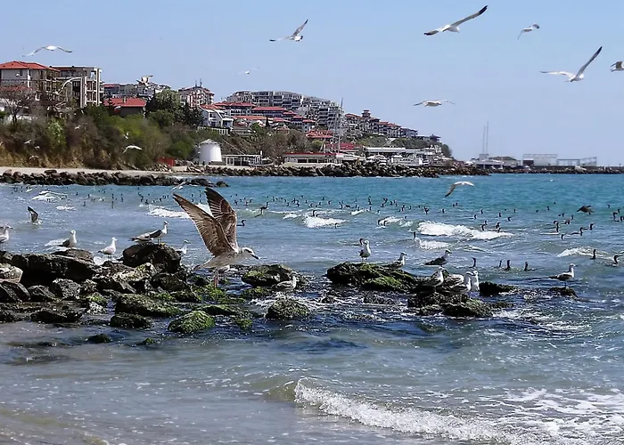 Etara - 1 Rey&mar Saint Apartament Święty Włas