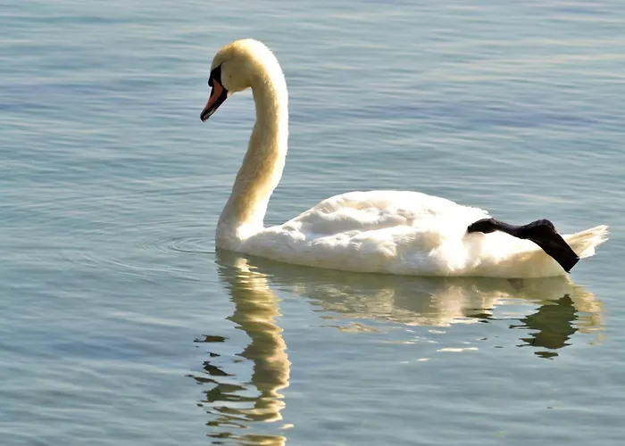 Etara - 1 Rey&mar Saint Apartament *